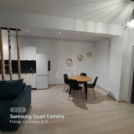 Apartament Cochet Cu Design Modern Apartment *